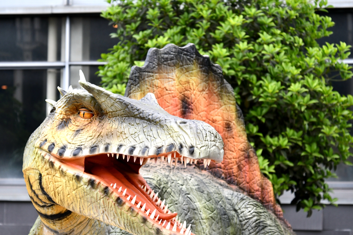 Animatronic Spinosaurus 01207